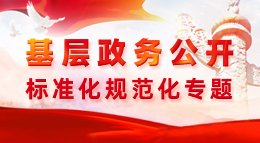 基層政務公開標準化規范化專題